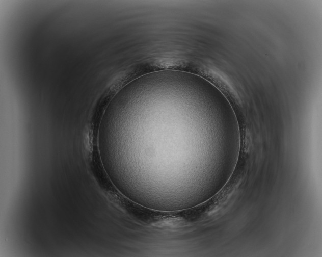 X0000097830210200803201504