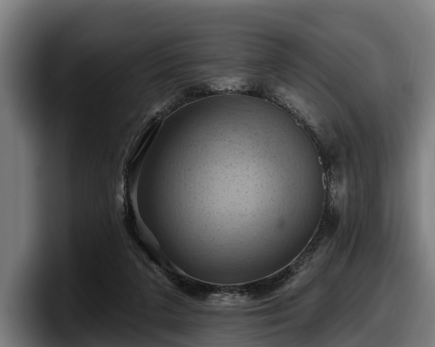 X0000097830211200803201504