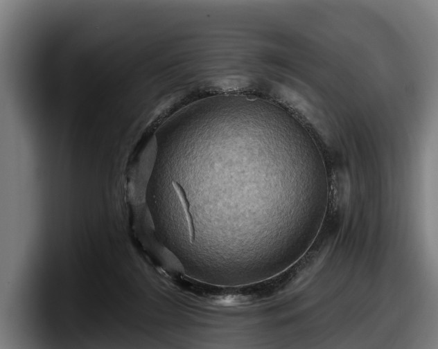 X0000097830212200803201504