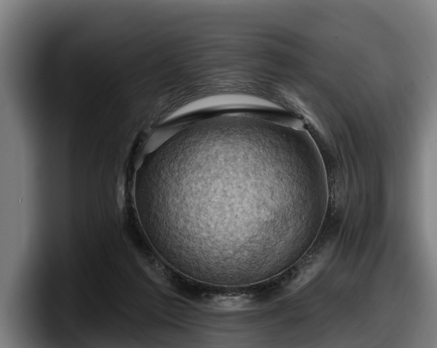 X0000097830213200803201504