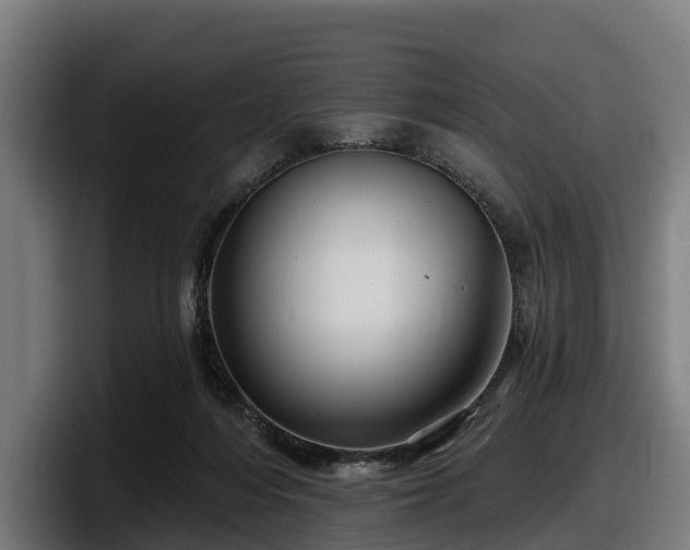 X0000097830216200803201504