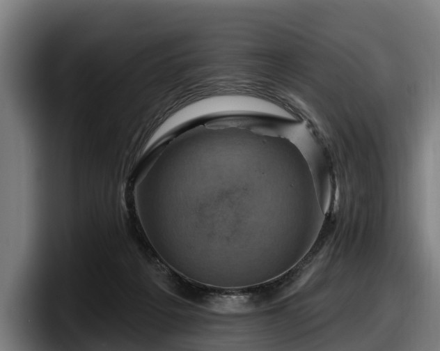 X0000097830217200803201504