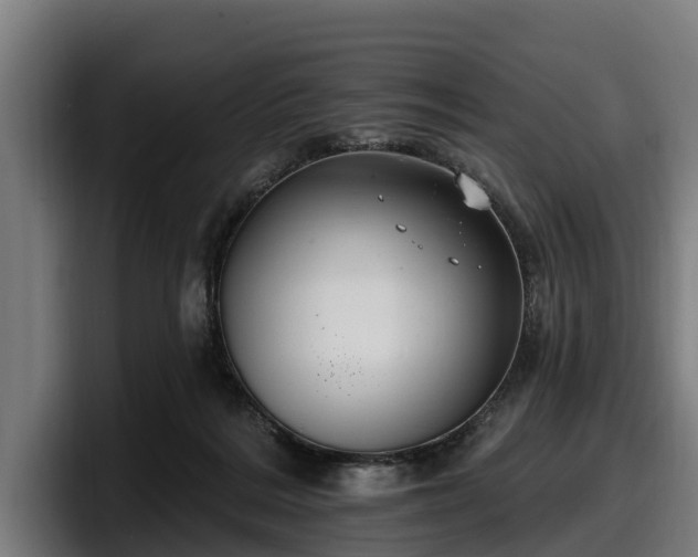 X0000097830220200803201504