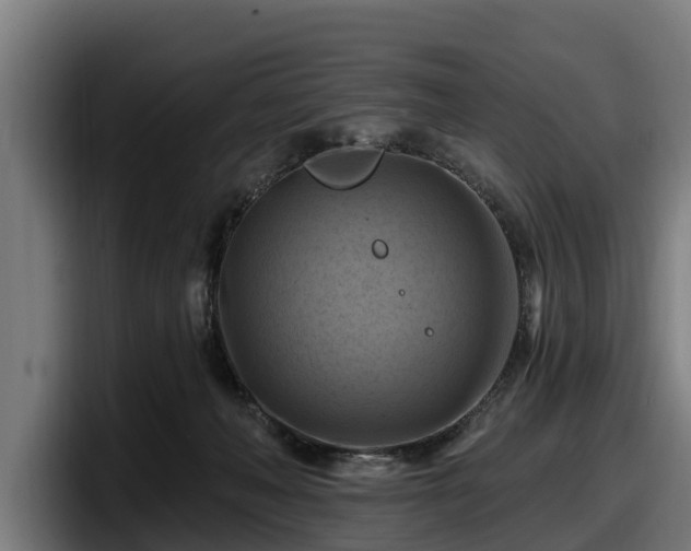 X0000097830222200803201504