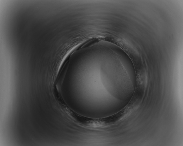 X0000097830223200803201504