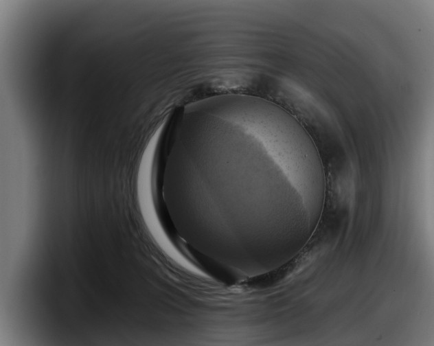 X0000097830227200803201504