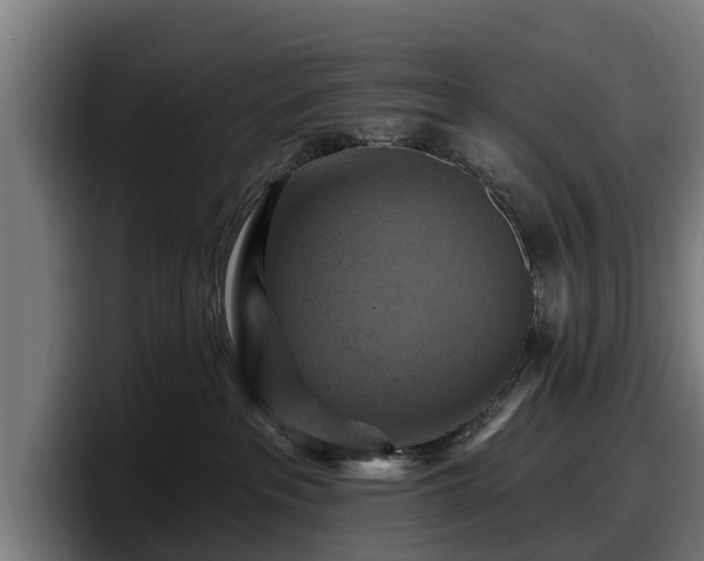 X0000097830237200803201504