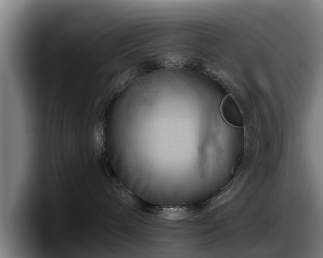 X0000097830240200803201504