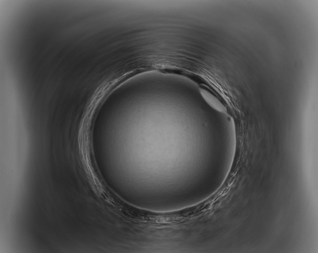 X0000097830241200803201503