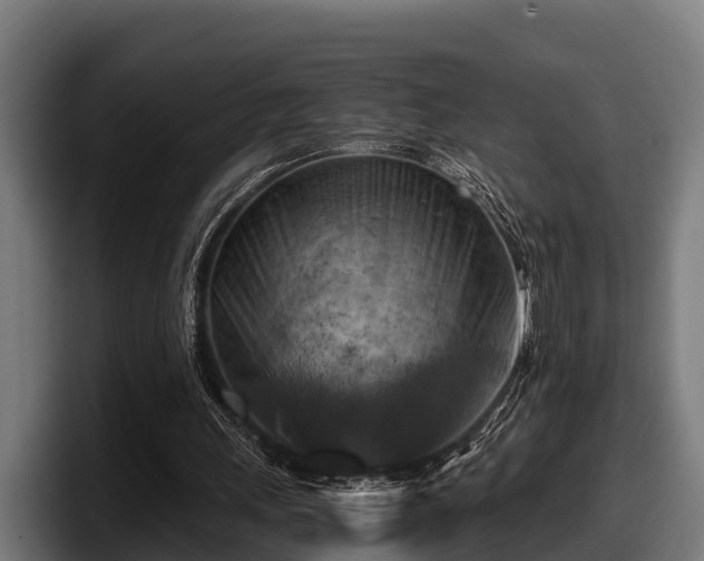 X0000097830243200803201503