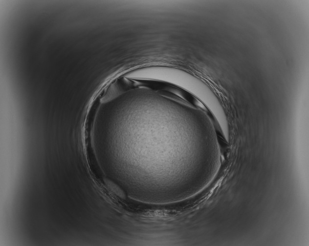 X0000097830244200803201503