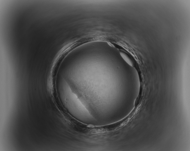 X0000097830245200803201503