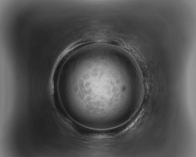 X0000097830246200803201503