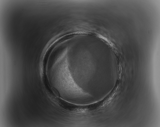 X0000097830247200803201503