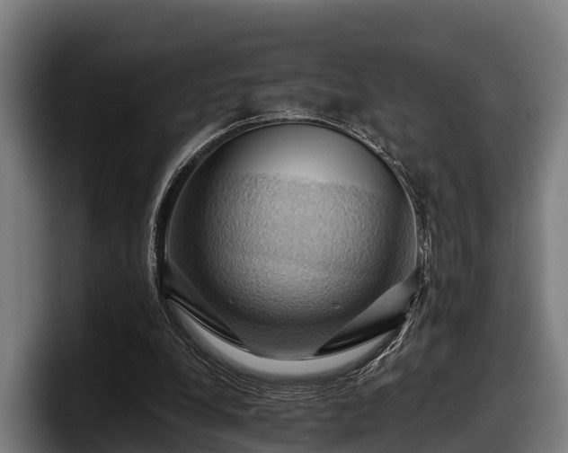 X0000097830248200803201503