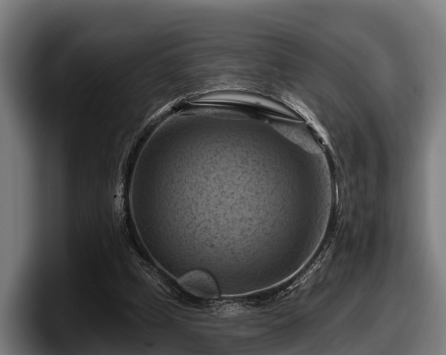 X0000097830249200803201503