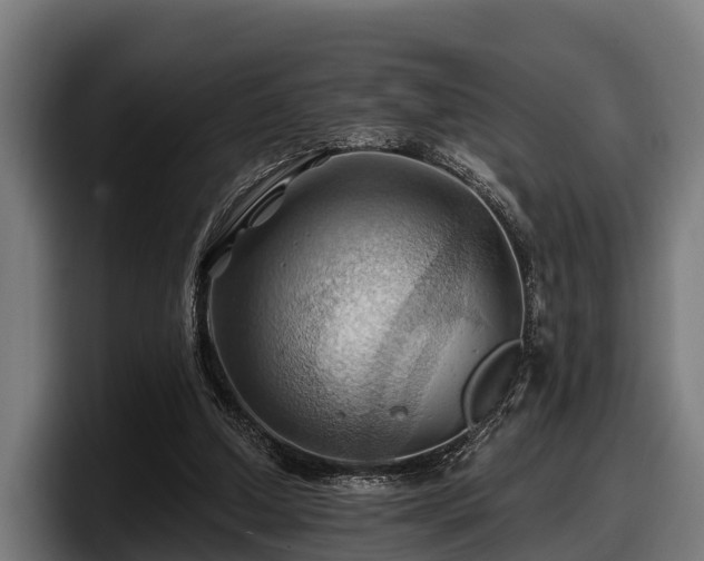 X0000097830250200803201503