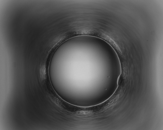 X0000097830251200803201503