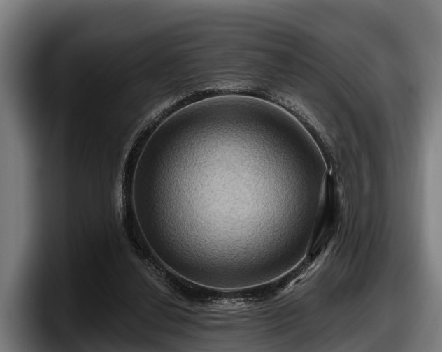 X0000097830252200803201503