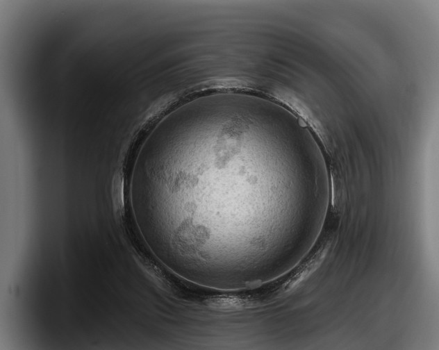 X0000097830253200803201503