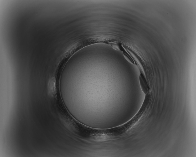 X0000097830254200803201503