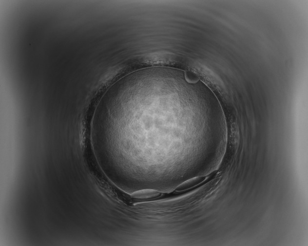 X0000097830255200803201503