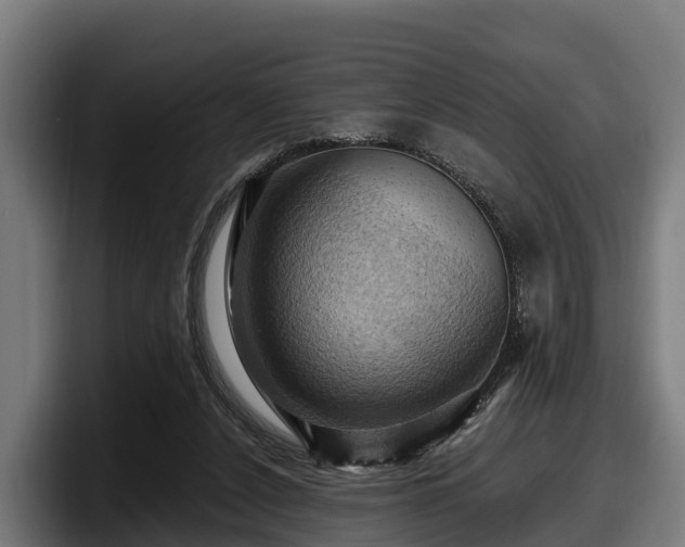 X0000097830256200803201503