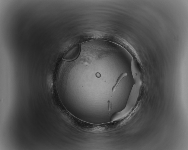 X0000097830257200803201503