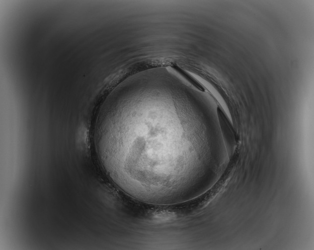 X0000097830258200803201503