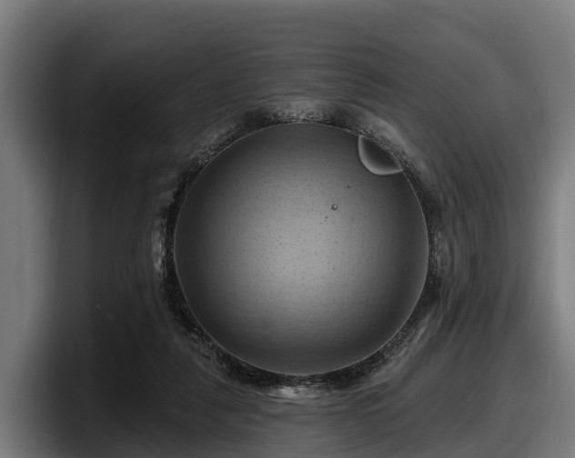 X0000097830259200803201503