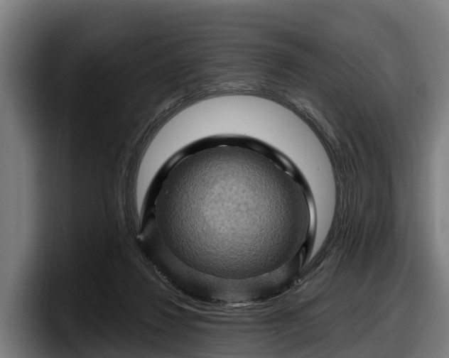 X0000097830260200803201503