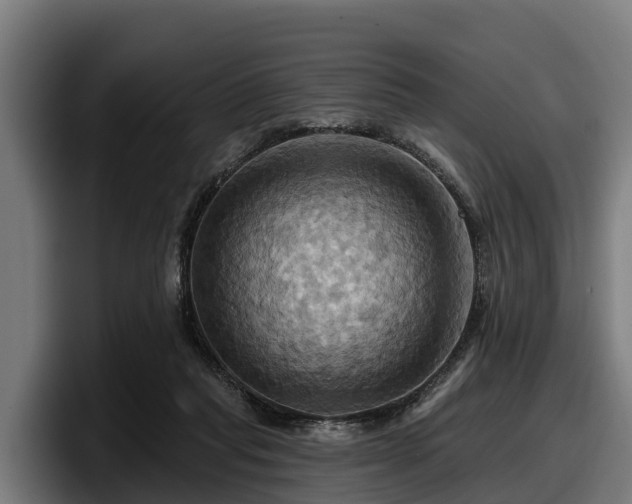 X0000097830261200803201503