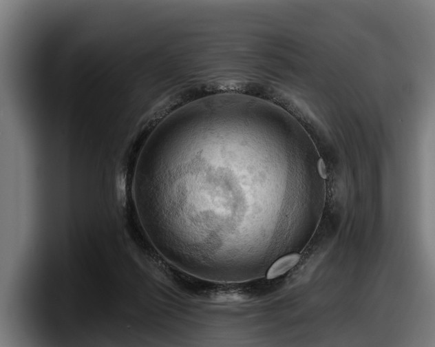 X0000097830262200803201503