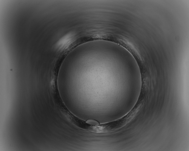 X0000097830265200803201504