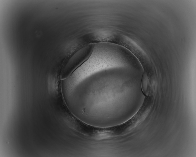 X0000097830268200803201504