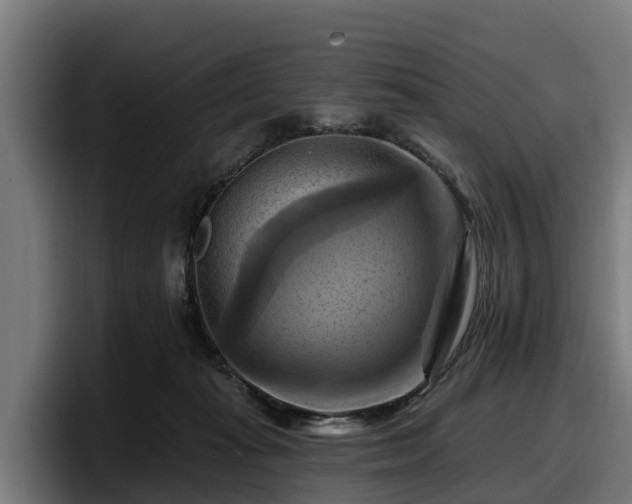 X0000097830269200803201504