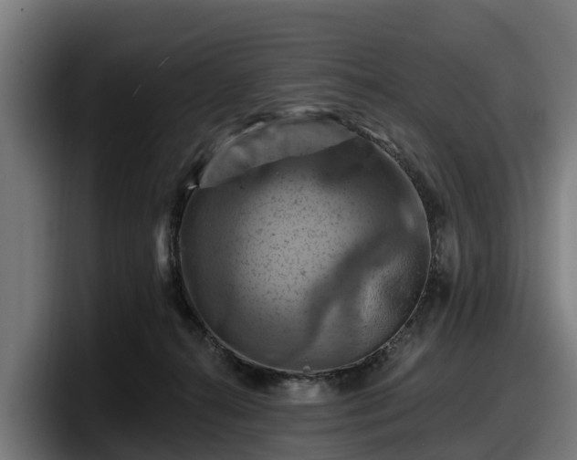 X0000097830272200803201504