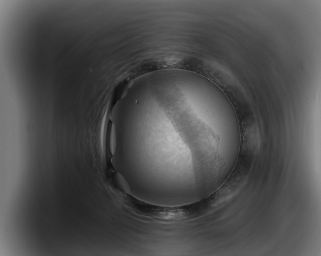 X0000097830274200803201504