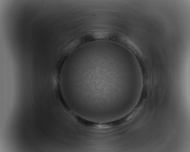 X0000097830277200803201504