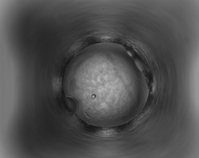 X0000097830278200803201504