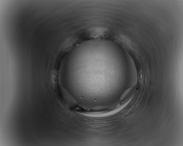 X0000097830280200803201504