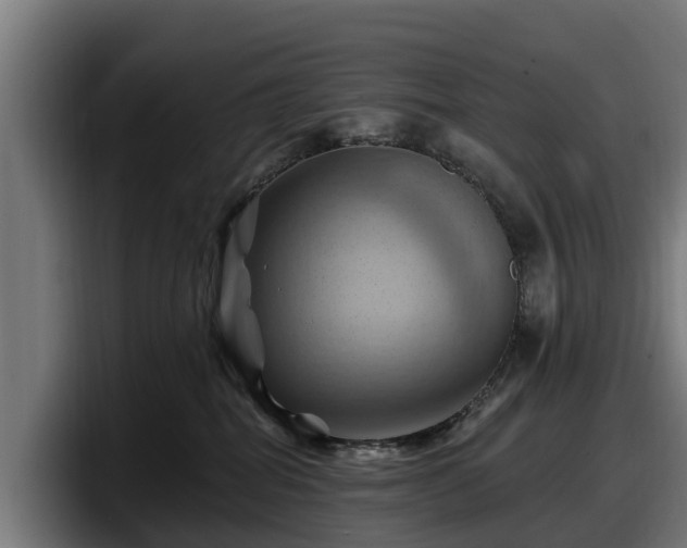 X0000097830282200803201504