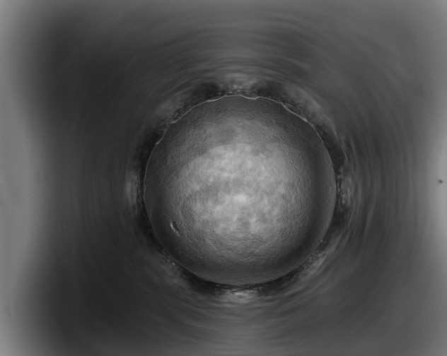 X0000097830283200803201504