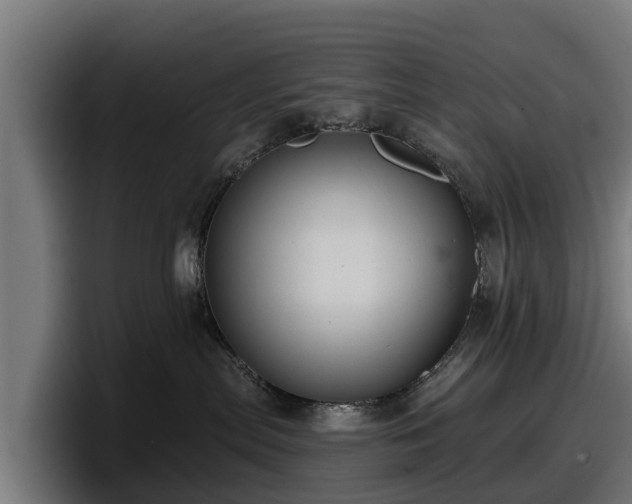 X0000097830287200803201504