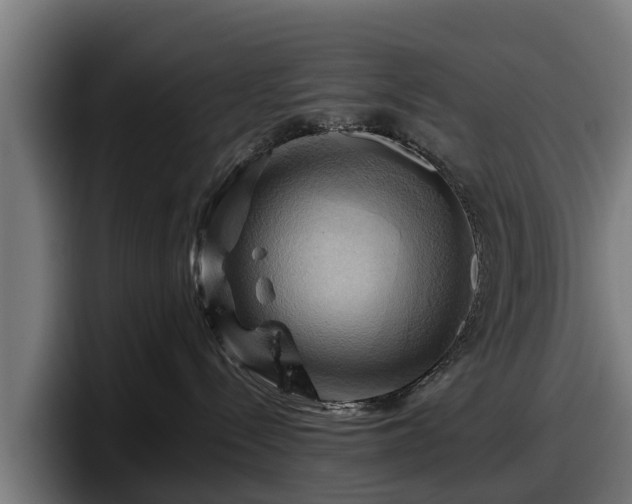 X0000097830288200803201504