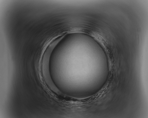 X0000097830289200803201503