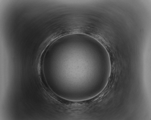 X0000097830290200803201503