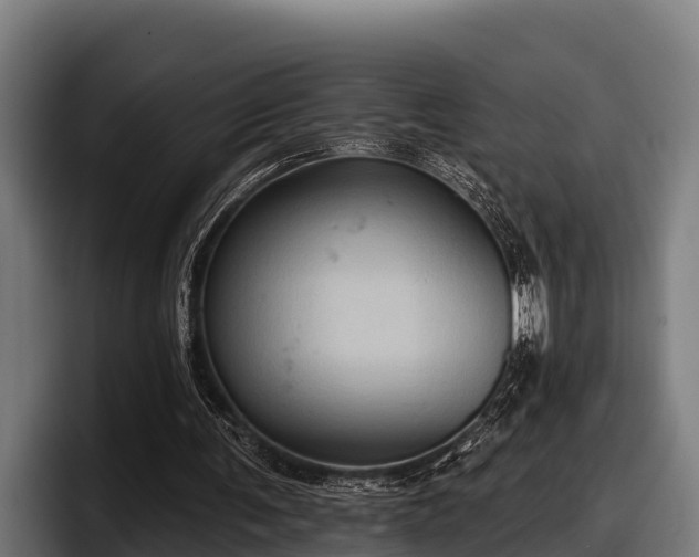 X0000097830291200803201503