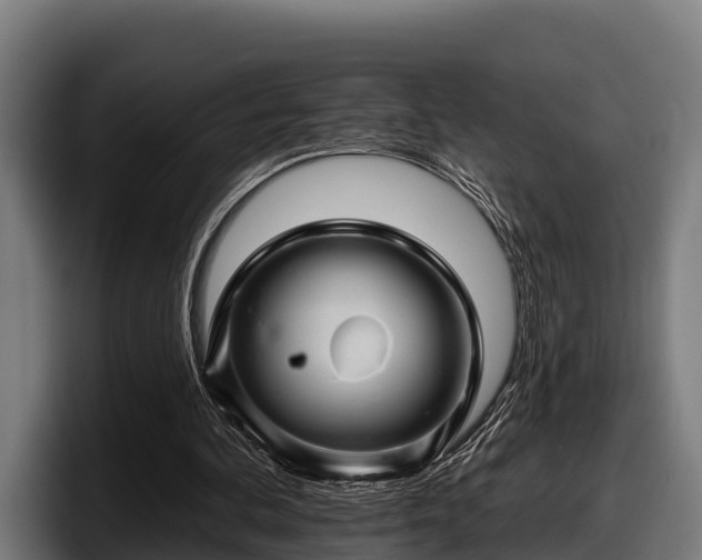 X0000097830292200803201503