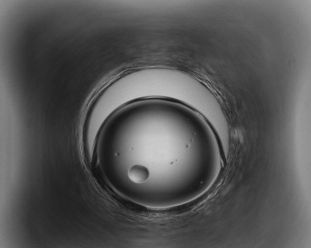 X0000097830293200803201503